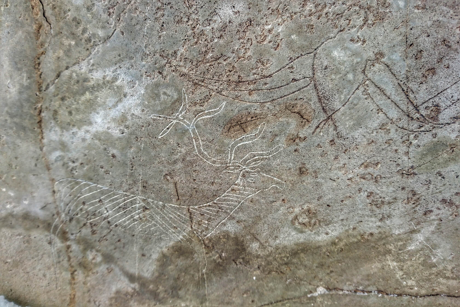 Автомобильно-пешая экскурсия «Природный парк Уч-Энмек»