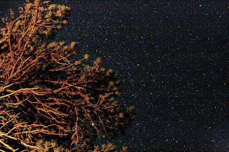 Конный тур по Алтаю «От Каракольских до Телецкого — Всесоюзный 77-й»