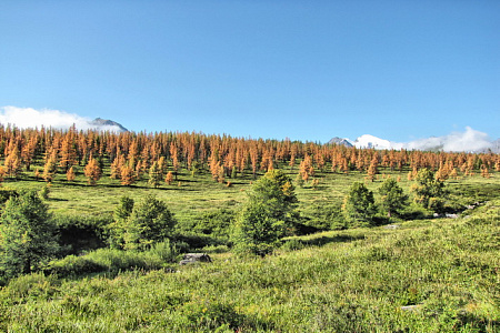 Конный тур «Шавлинские озера — на пути в Шамбалу»
