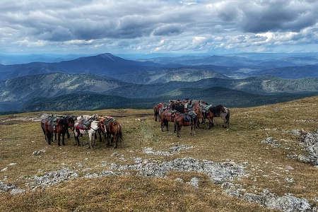 Тour équestre -  Russie Altaï  «Altai au galop»