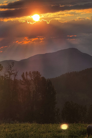 Конный ВИП тур "Алтай - перезагрузка"