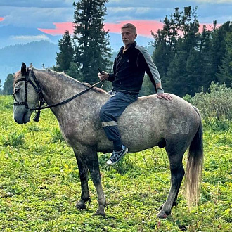 Буревестник