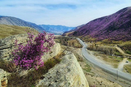 Подарочный сертификат «Маяк Алтая»