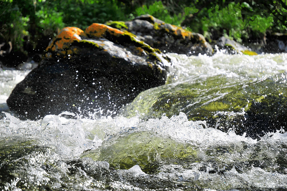 Тour équestre -  Russie Altaï «d'Anylu»