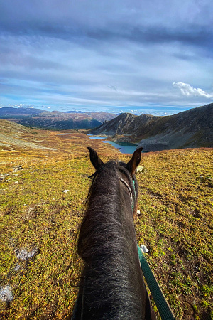 Тour équestre -  Russie Altaï «d'Anylu»