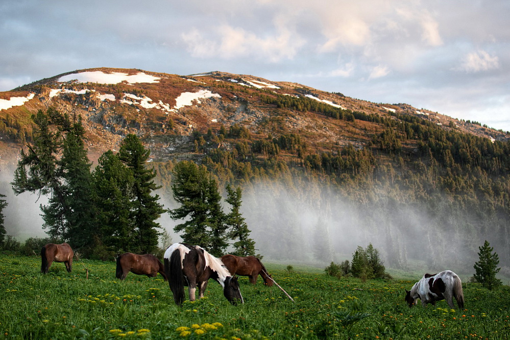 Russian Altay, Siberia. Horseback riding trip Karakol’skie Lakes (loop ride)