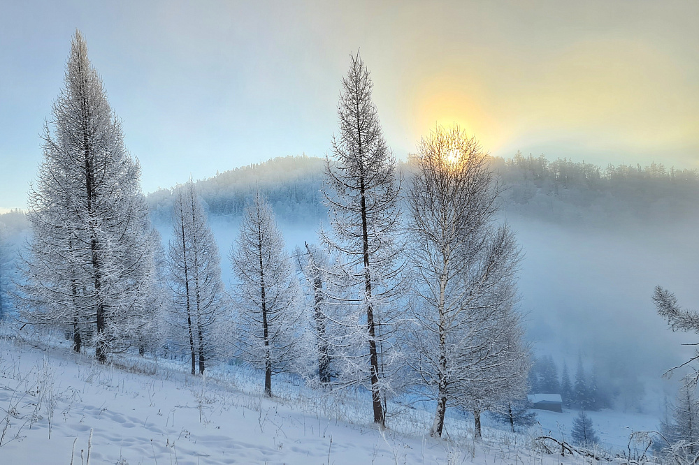 Altai - winter fairytale