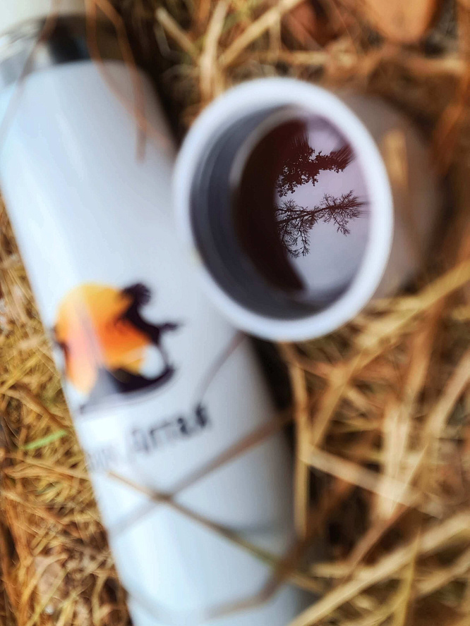 Авторский конный-коктейль тур «Легенды Алтая»