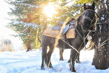 Конно-экскурсионный тур «Зимой на Алтай или выходные в горах»