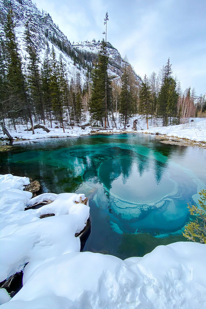 «Алтай: Новый год | 23 февраля | 8 марта» - конный тур