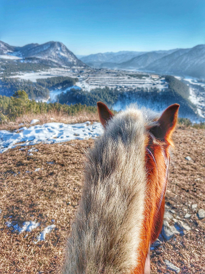 Авторский конный-коктейль тур «Легенды Алтая»