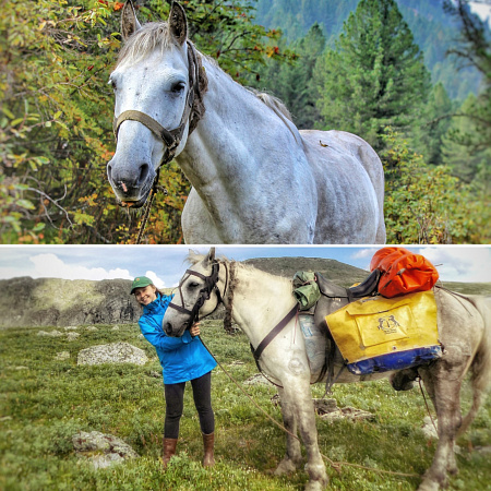 Welcome to Mayak Altaya