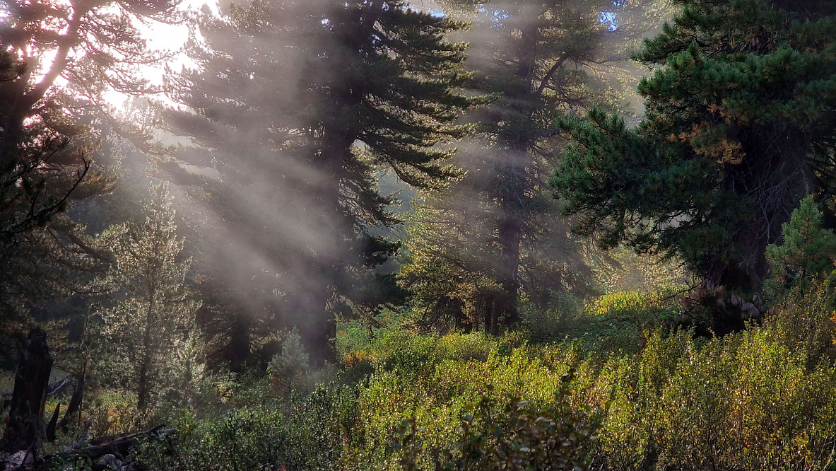 Конный тур по Алтаю «Ан`ылу»