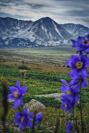 Russian Altay, Siberia. Horseback riding trip «Anylu – wonderful Altay valley»