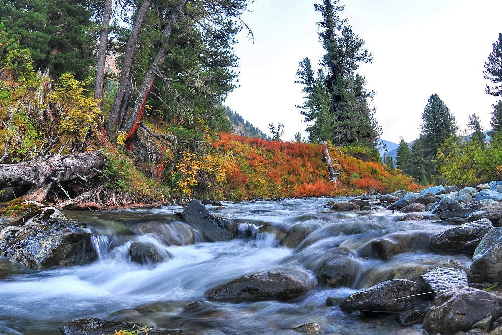 Конный тур «Алтай — страна Чудес»