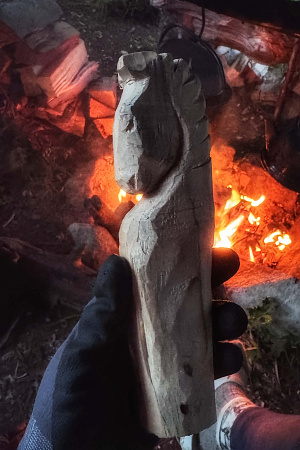 Конный ВИП тур "Алтай - перезагрузка"