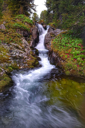 Конный ВИП тур "Алтай - перезагрузка"