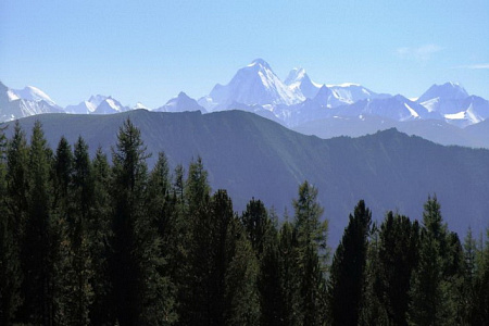 Конный тур по Алтаю «К Белухе потаённой тропой»