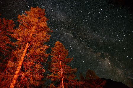 Конный тур «Шавлинские озера — на пути в Шамбалу»