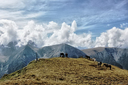 Конный тур по Алтаю «К Белухе потаённой тропой»
