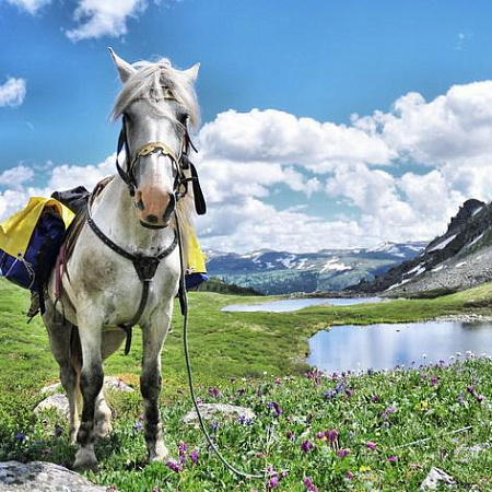 Тour équestre -  Russie Altaï «Lacs de Karakol — trajet en boucle»