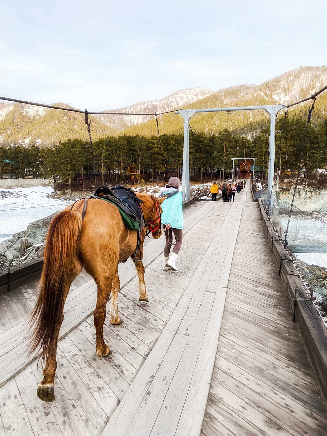 Авторский конный-коктейль тур «Легенды Алтая»