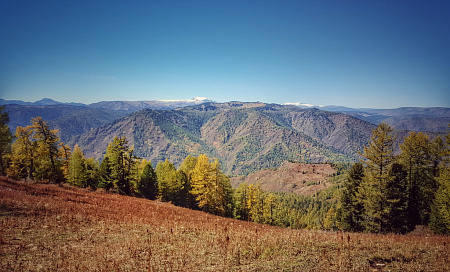 Конный тур по Горному Алтаю «Тальменное озеро»