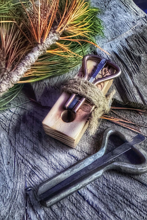 Конный ВИП тур "Алтай - перезагрузка"