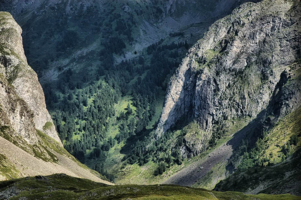 Конный тур «Алтай — страна Чудес»