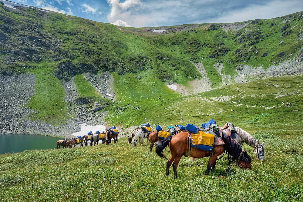 Конный тур «Алтай — страна Чудес»