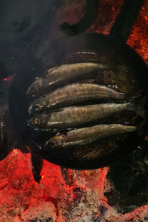 Конный тур «Алтай — страна Чудес»