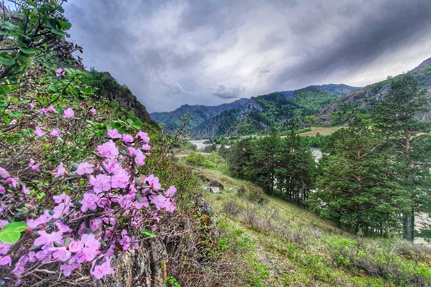 Автомобильно-пешая экскурсия «Чуйский тракт - красивейшая дорога мира»