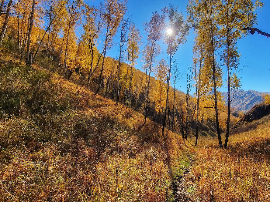Авто - конный тур "Осенний Алтай"
