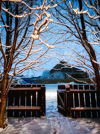 Экскурсионный авто-тур "Мой Алтай"| возможно сочетать с конным/снегоходным