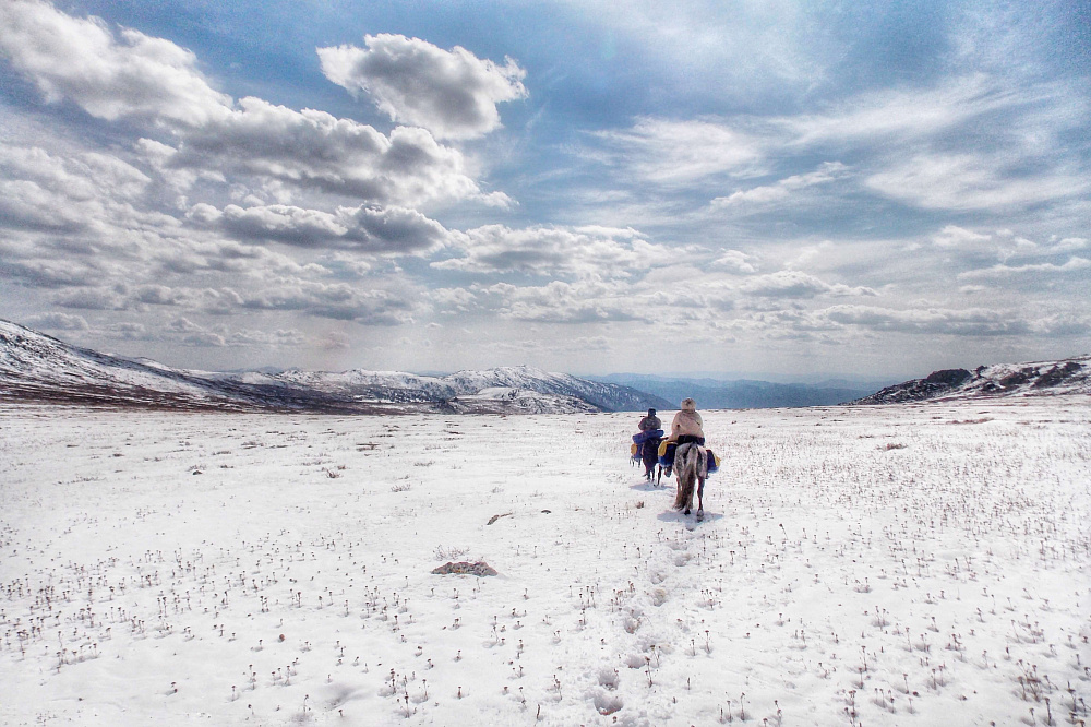Russian Altay, Siberia. Horseback riding trip «Anylu – wonderful Altay valley»
