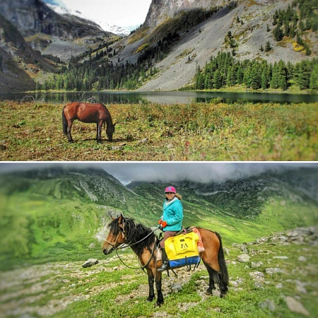 Welcome to Mayak Altaya