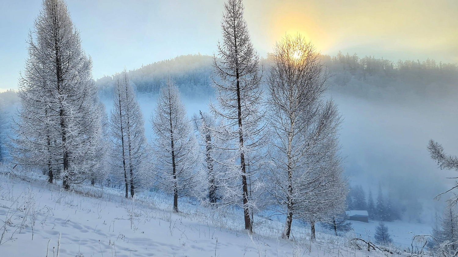 Проживание в тайге "Убежище для души"