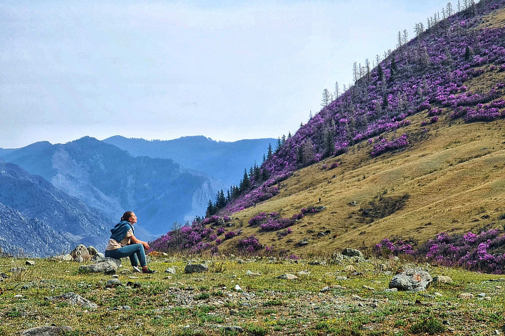Подарочный сертификат «Маяк Алтая»