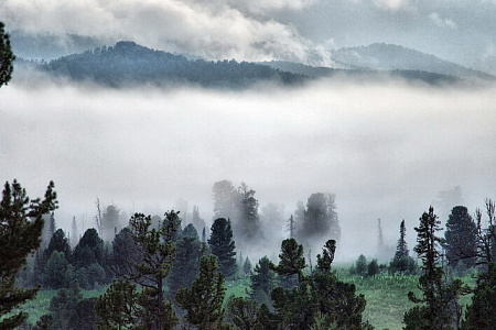  Russian Altay, Siberia. Horseback riding trip «Altai Mountains at a glance»