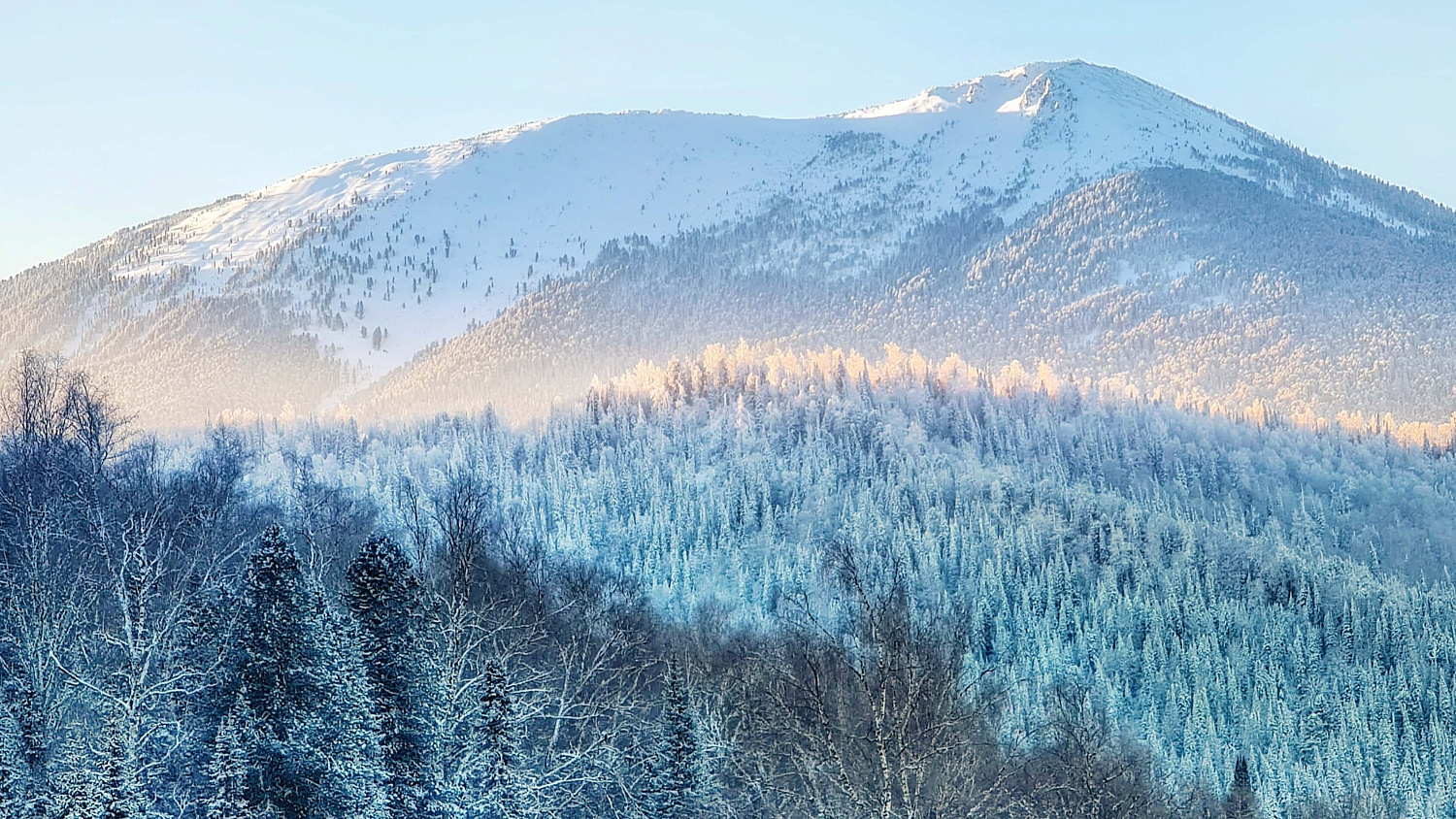 Проживание в тайге "Убежище для души"