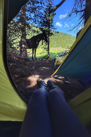 Конный ВИП тур "Алтай - перезагрузка"