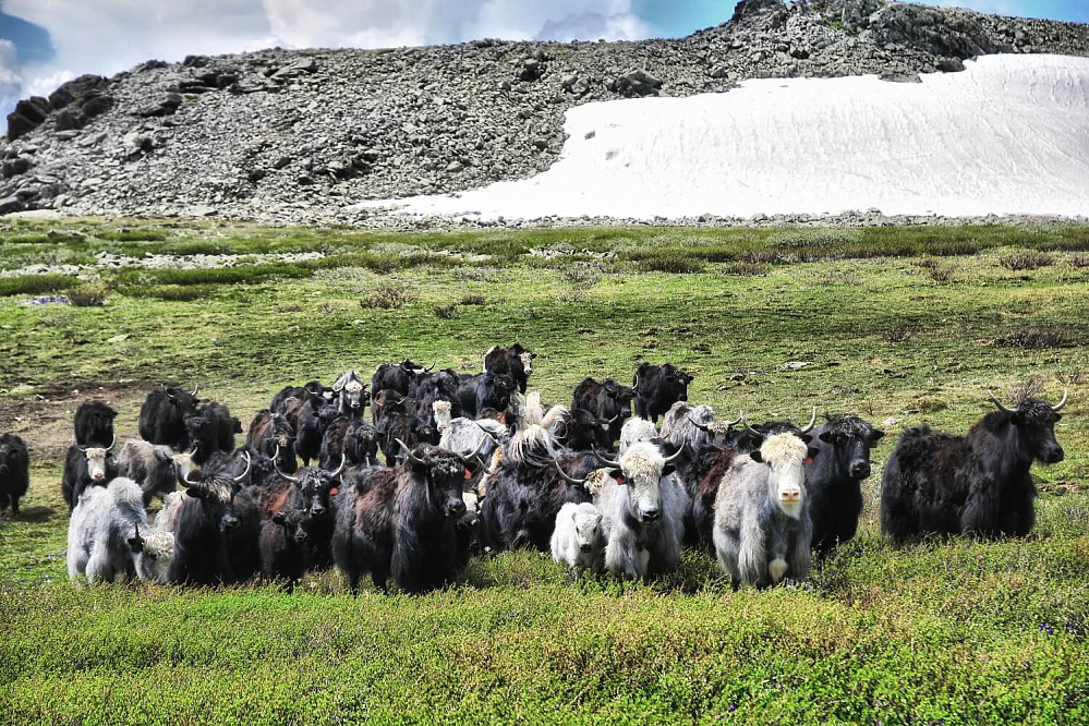 Russian Altay, Siberia. Horseback riding trip Uymen’ Lake – the heart of Altaу Mountains