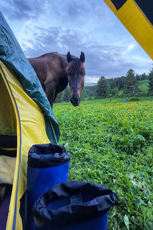 Russian Altay, Siberia. Horseback riding trip Uymen’ Lake – the heart of Altaу Mountains