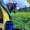 Russian Altay, Siberia. Horseback riding trip Uymen’ Lake – the heart of Altaу Mountains