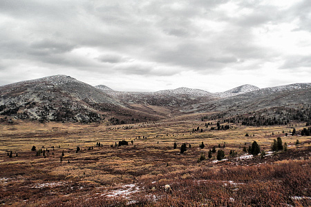 Конный тур по Алтаю «От Каракольских до Телецкого — Всесоюзный 77-й»