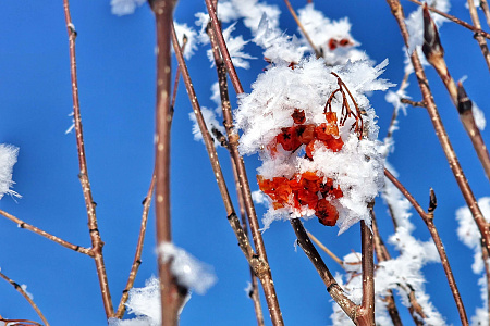 Снегоходная прогулка «Алтай: два перевала»
