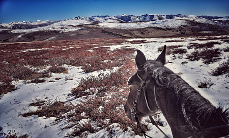 Конный тур по Горному Алтаю «Тальменное озеро»