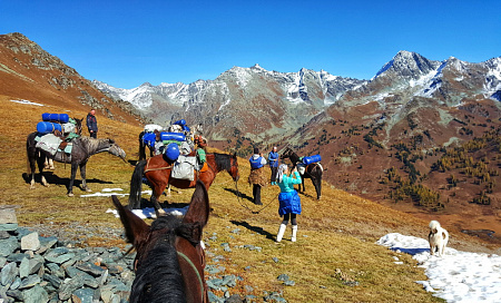 Конный тур по Горному Алтаю «Тальменное озеро»
