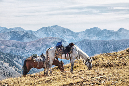 Конный тур по Алтаю «Каракольские озера — кольцевой»
