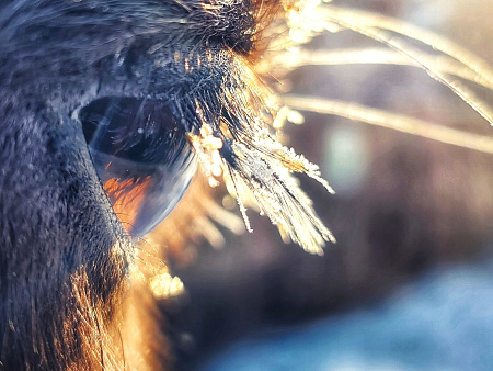 Cемейный | корпоративный тур «Самый индивидуальный тур на Алтае»